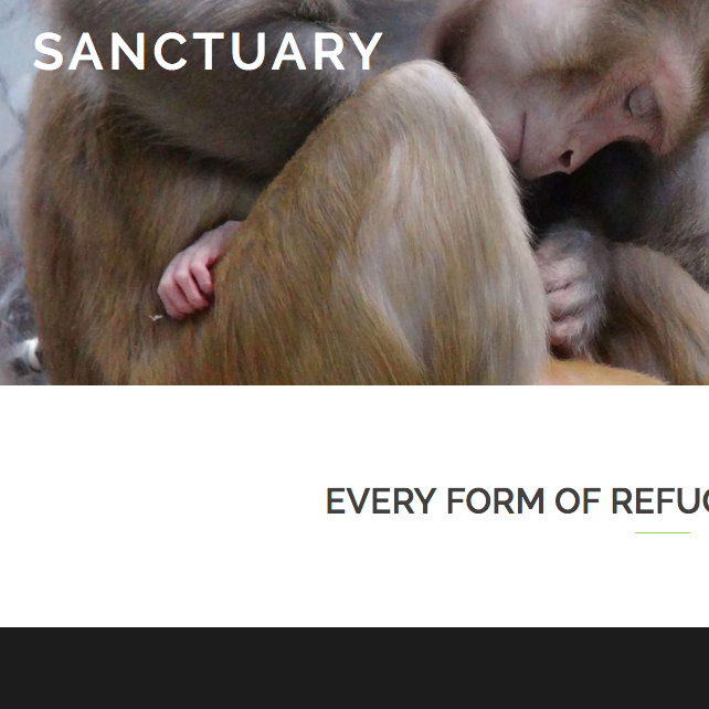 Website Design and Development for Sanctuary